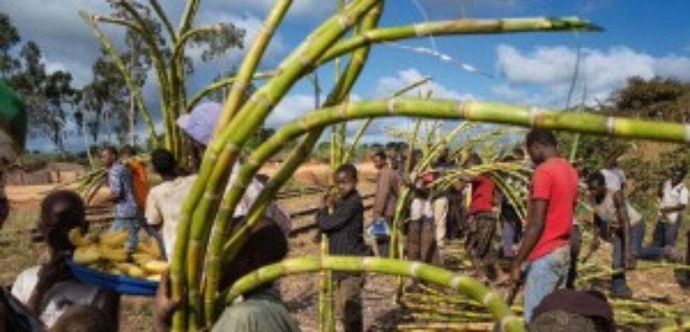 Questões sobre desenvolvimento produtivo em Moçambique
